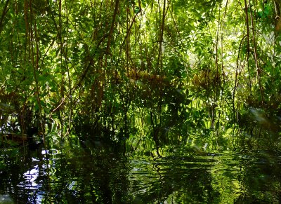 Shades of green.