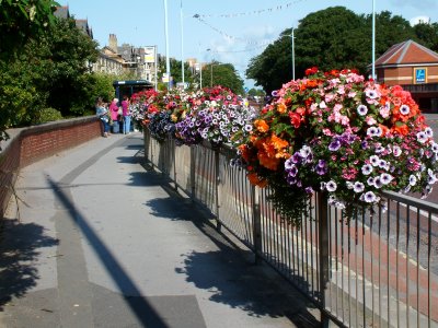 Flowers in St.Annes