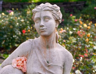 A rose for the statue