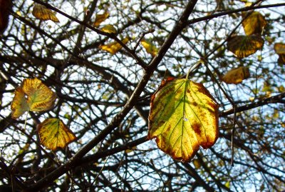 2017-10-29 10:35