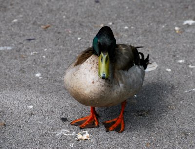  I've got my lunch but now I don't want it.