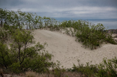 Curonian spit, Lithuania