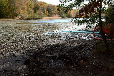 Pond Dredging