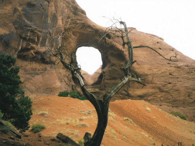 Arches National Park