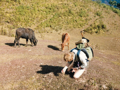 Pete doing inspection of local grasses