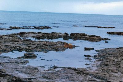 Stromatolites the oldest living things on Earth