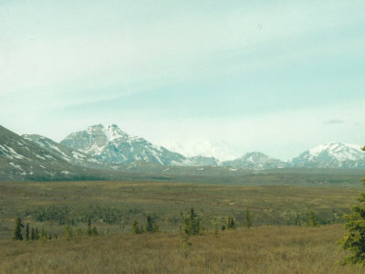View from Denali NP