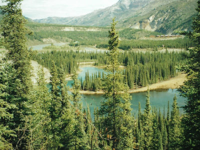 A lakeside scene