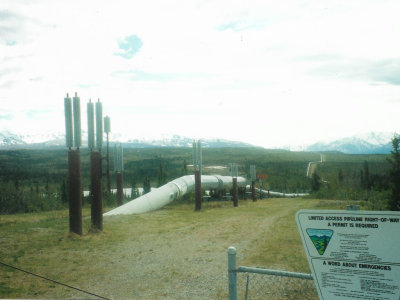 Trans Alaskan Pipeline