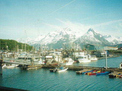 Valdez Harbour