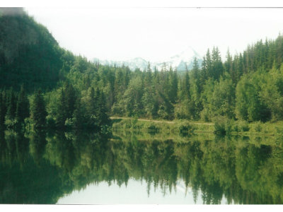 Reflection in the lake