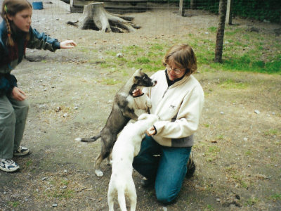 Visiting and handling the puppies at the racing kennels