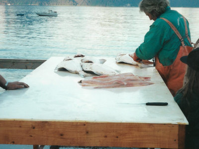 Fish being filleted at the quayside