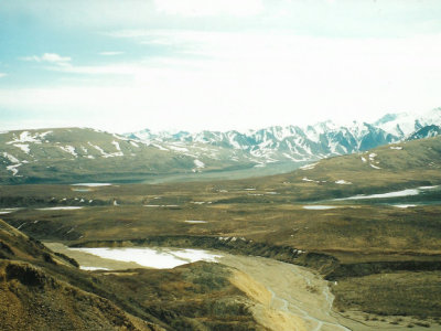 Panoramic view