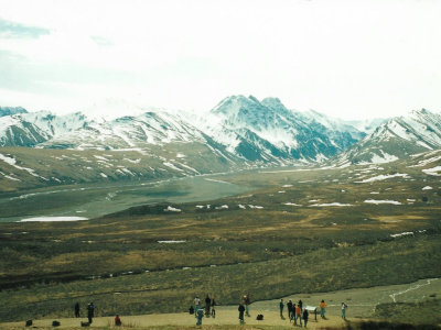 Busy viewpoint over tundra and mountainside from Denali