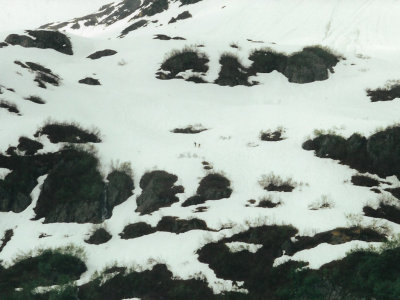 A couple of specks show french skiers who climbed higher than us in order to ski down