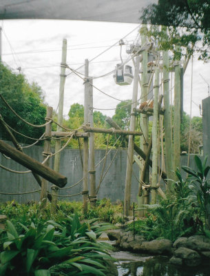 Cable car in Taronga Zoo
