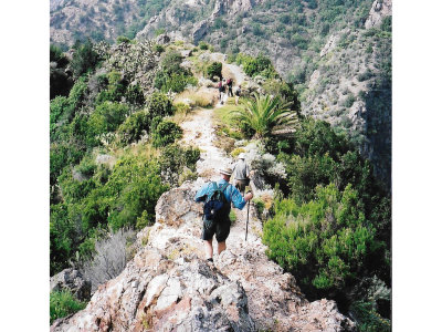Garajonay NP contains many hiking trails
