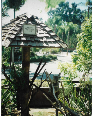Trip from Cairns to Sydney in 2003