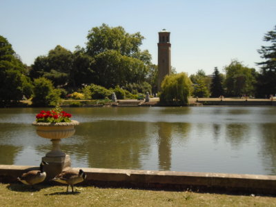 View of  Temple of Arethusa from Palm House