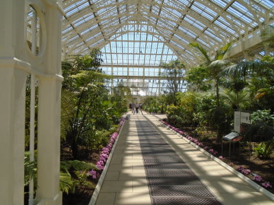 Inside Temperate House