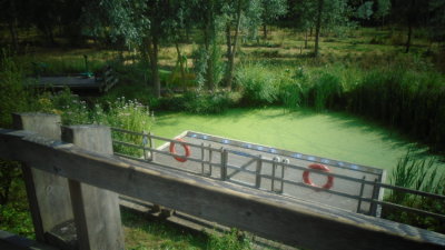 Local nature reserve