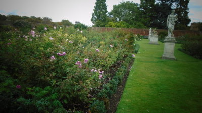 Rose Garden