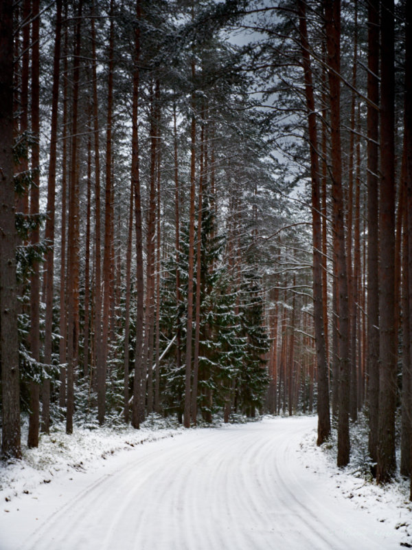 EST-04-01-17-012.jpg