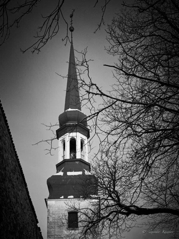 EST-04-01-17-053.jpg