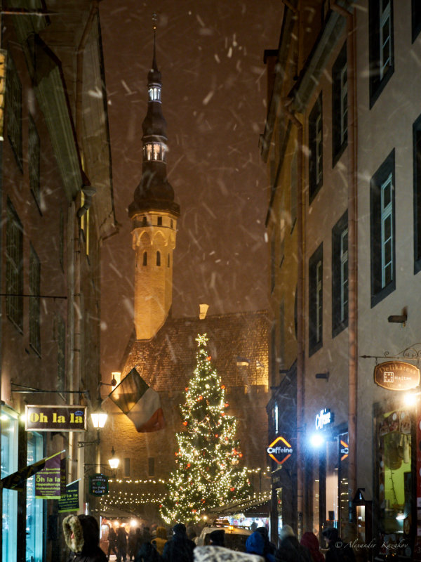 EST-04-01-17-064.jpg