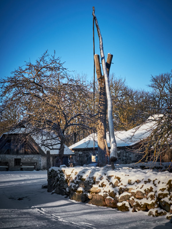 EST-06-01-17-275.jpg