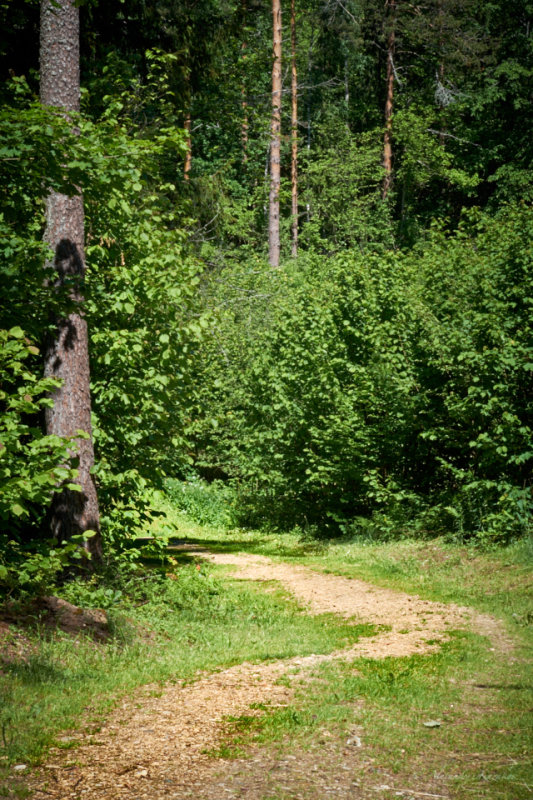 LTV-16-06-17-014.jpg