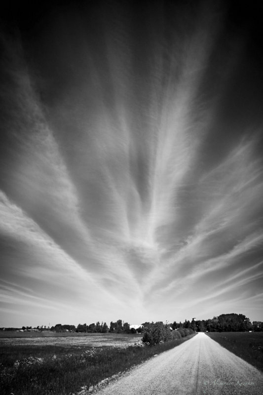 LTV-16-06-17-050.jpg