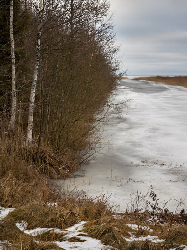 Winter... almost...