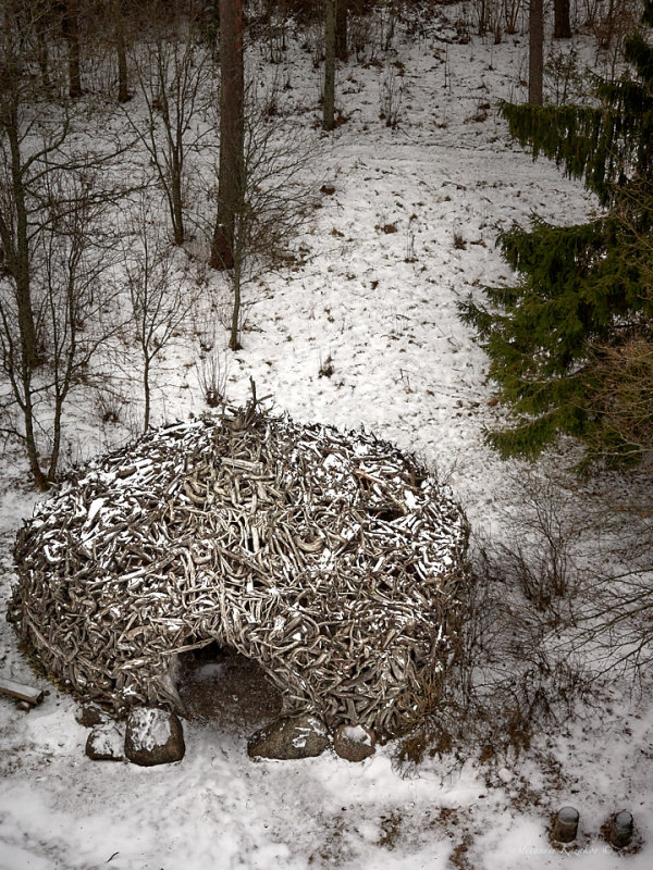 Frights Shelter