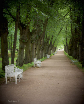 Pavlovsky garden benches