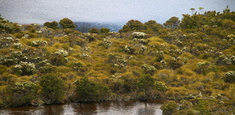 Dove Lake scene