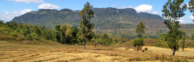 Mount Laritano and rice paddies