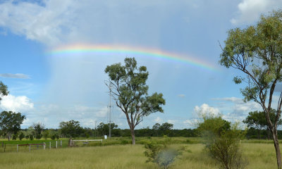 homestead rainbow