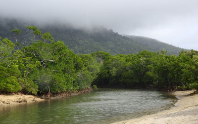Alligator Creek