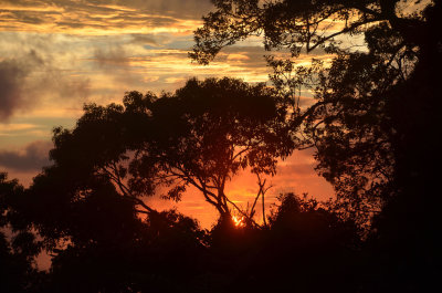 Kinabalu sunset