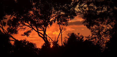 Kinabalu sunset