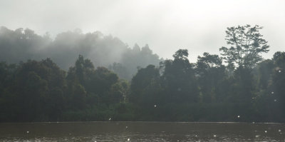 dawn on the river