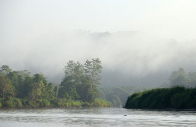 Sungai Kinabatangan