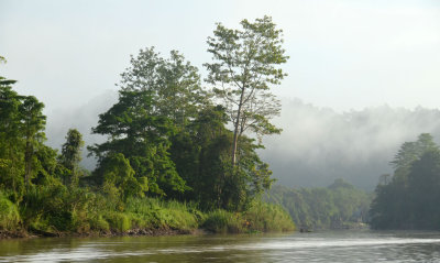 Sungai Kinabatangan