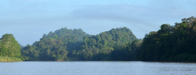Sungai Kinabatangan view