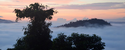 Danum Valley dawn