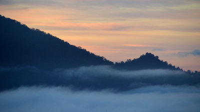 Danum Valley dawn