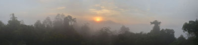 Danum Valley dawn pano