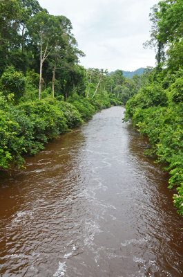 Sungai Maliau